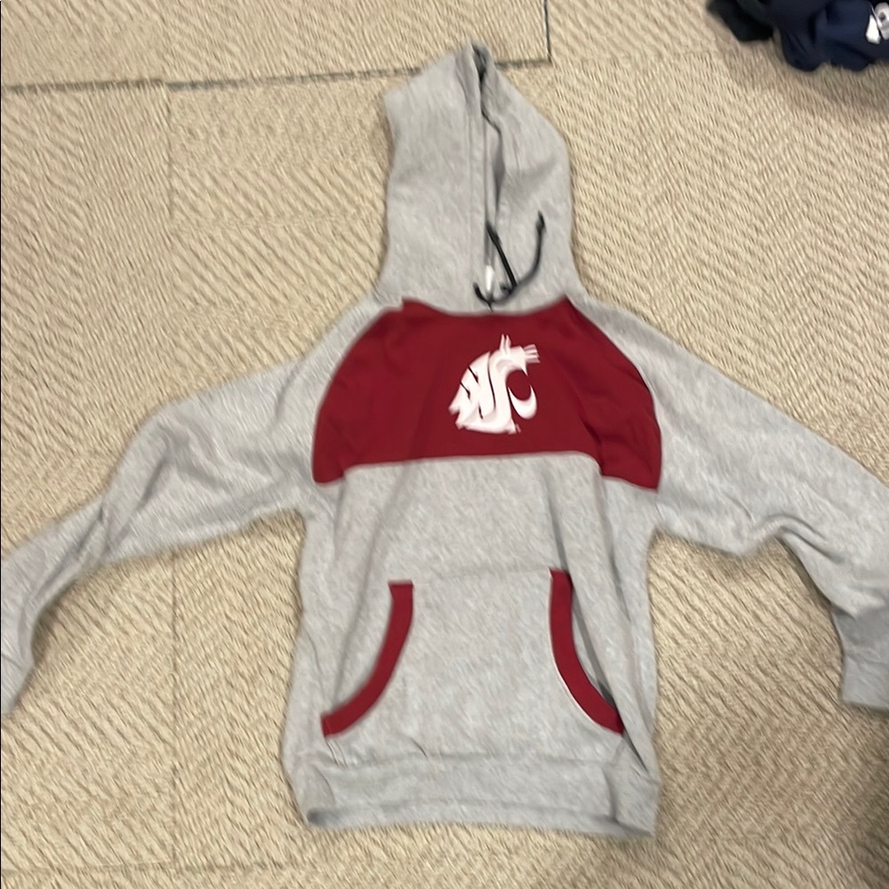 Champion Gray Hoodie with Washington State Logo